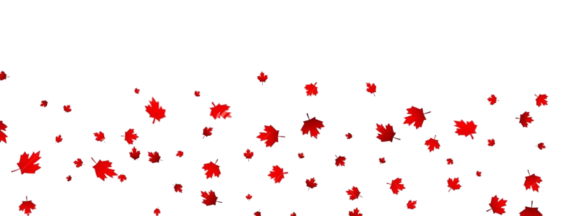 canadian-maple-leaves-background-falling-red-leaves-canada-day-st-july-94192757-removebg-preview