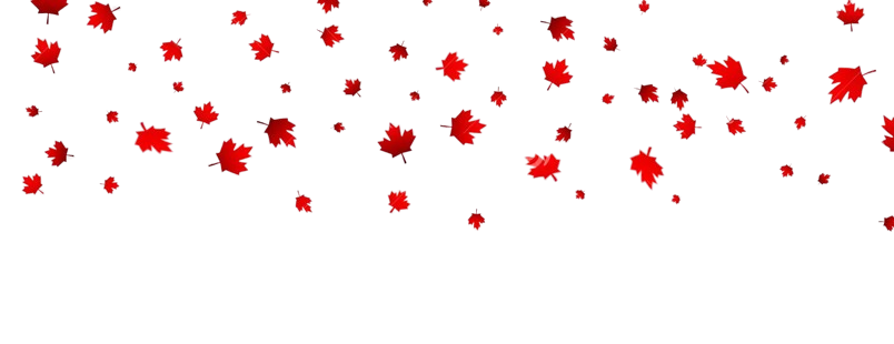canadian-maple-leaves-background-falling-red-leaves-canada-day-st-july-94192757-removebg-preview